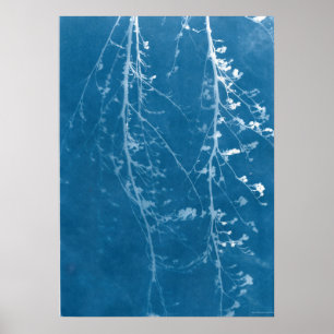 Natur Cyanotypie in Blau Ausdruck & Digitaler Down Poster