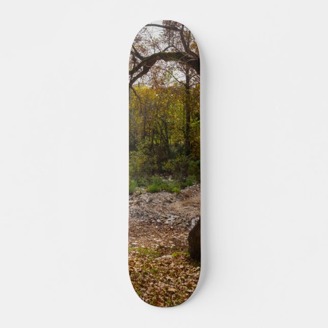 Natur erreicht skateboard (Vorne)