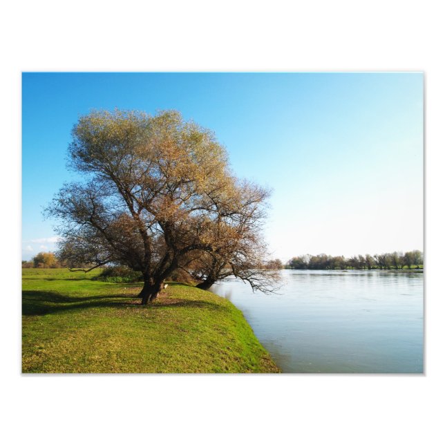 Natur Fotodruck (Vorne)