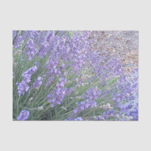 Natur-Fotografie des Seidenpapier