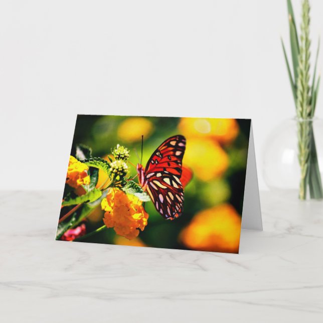 Natur-Fotografie Karte (Vorderseite)