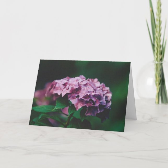 Natur-Fotografie Karte (Vorderseite)