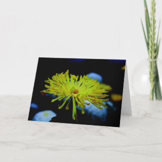 Natur-Fotografie Karte