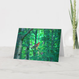 Natur-Fotografie Karte