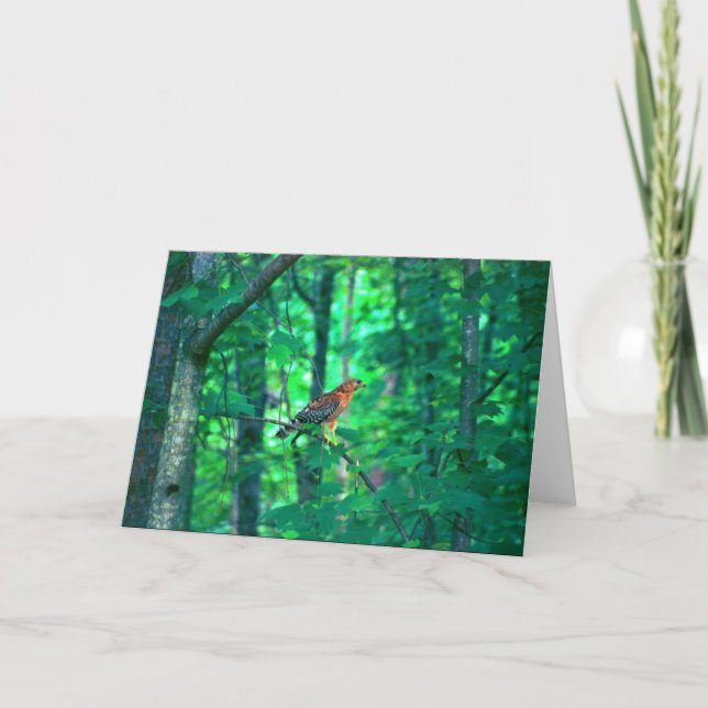 Natur-Fotografie Karte (Vorderseite)