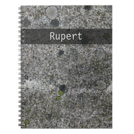 Natur-Geologie-führt graues Granit-Moos jeden Notizblock