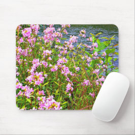 Natur, grün, Wildblumen, rosa, Wasser Mousepad