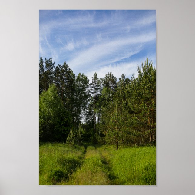 Natur Grüne Bäume Wälder Landschaft Weißrussland P Poster (Vorne)