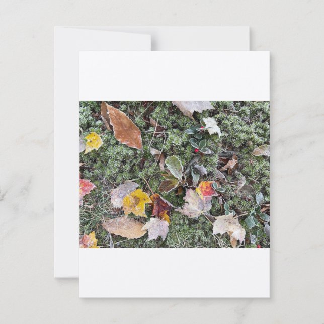 Natur harter Frost, flache Note Card Mitteilungskarte (Vorderseite)