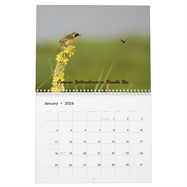 Natur hat eine Richtung des Spaßes Kalender (Jan 2026)