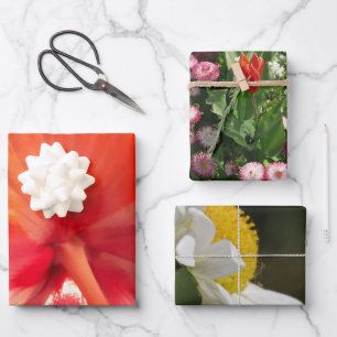 Natur, Hibiskus, Blume, Sommer, Blumen, tropische Geschenkpapier Set
