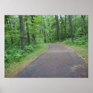 Natur-Holz-Waldweg-Fotografie-Plakat-Kunst Mangan Poster