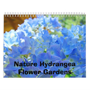 Natur Hortensien Blumen Gärten Fotografie Kalender