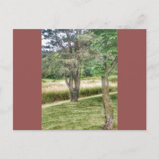 Natur in Schönheit 2 Postkarte