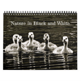 Natur in Schwarz und Weiß Kalender