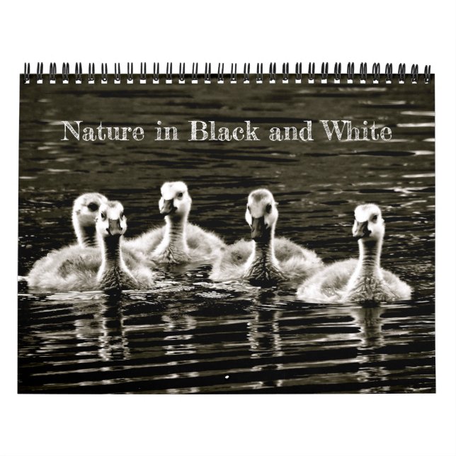 Natur in Schwarz und Weiß Kalender (Titelbild)