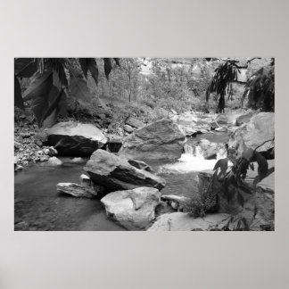 Natur in schwarz-weiß poster