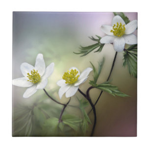 Natur Inspirationen Delikate weiße Blume Fliese