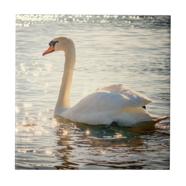 Natur Inspirationen Eleganter Schwan Fliese (Vorderseite)