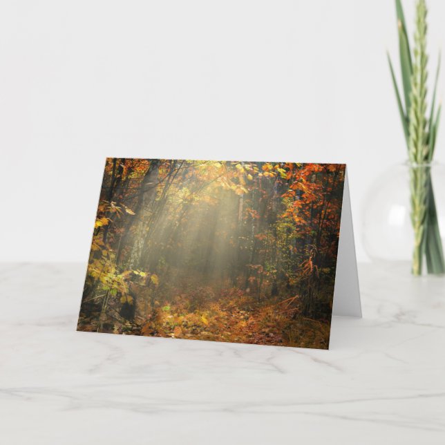 Natur Inspirationen Sonnenbrand Karte (Vorderseite)