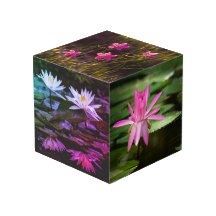 Natur Inspiriert 4" Foto Cube