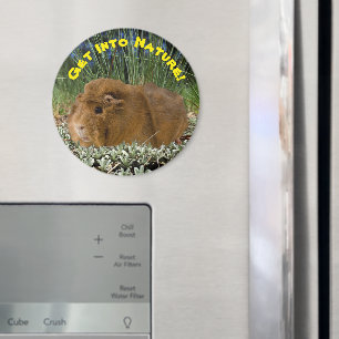 Natur-inspirierte niedliche magnet