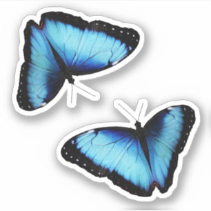 Natur-Inspiriertes Design Aufkleber