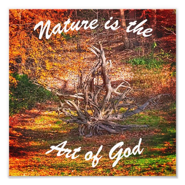 "Natur ist die Kunst Gottes" Zitat Fotodruck (Vorne)