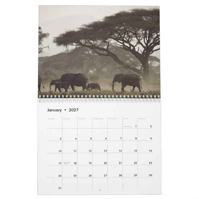 Natur-Kalender 2012 Kalender (Jan 2027)