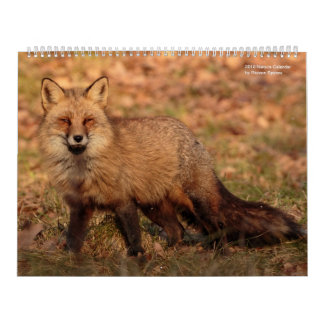 Natur-Kalender 2018 Kalender