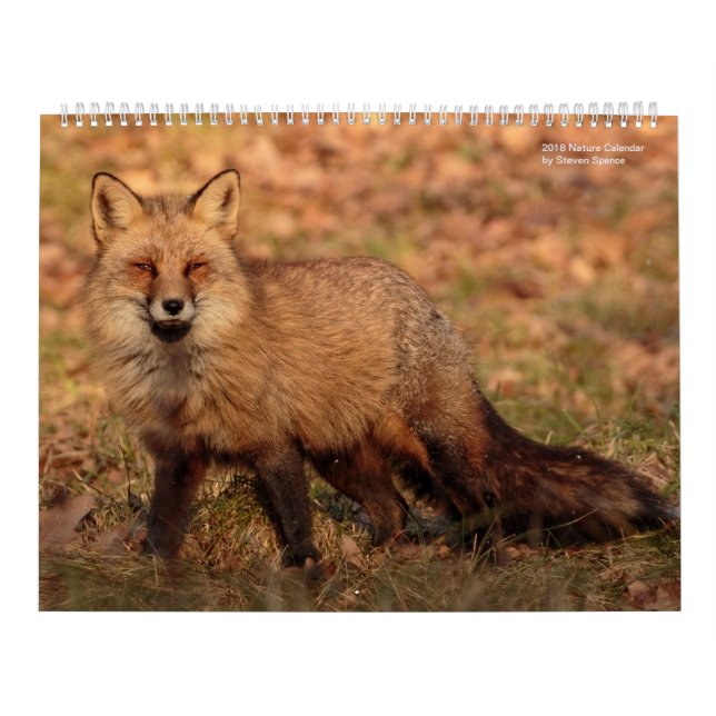 Natur-Kalender 2018 Kalender (Titelbild)