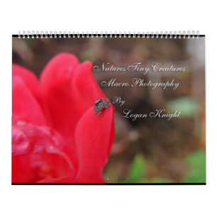 Natur-kleine Geschöpf-Makrophotographie Kalender