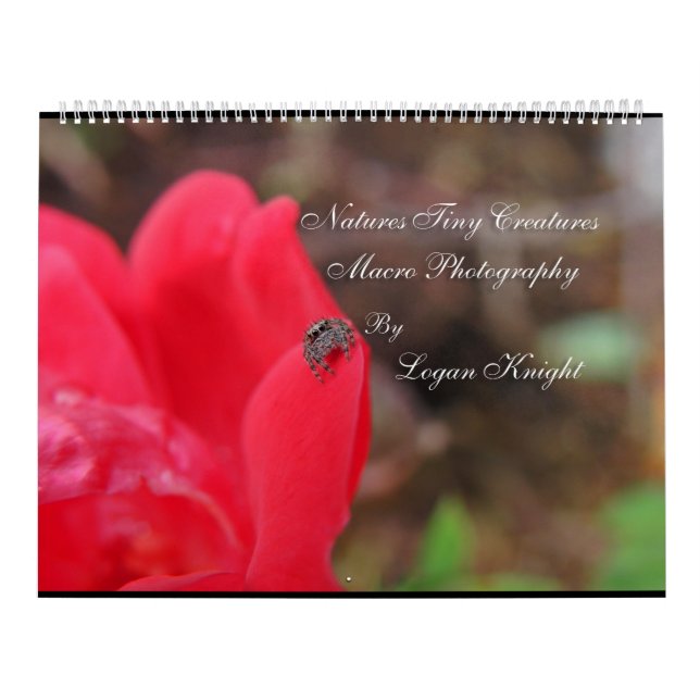Natur-kleine Geschöpf-Makrophotographie Kalender (Titelbild)