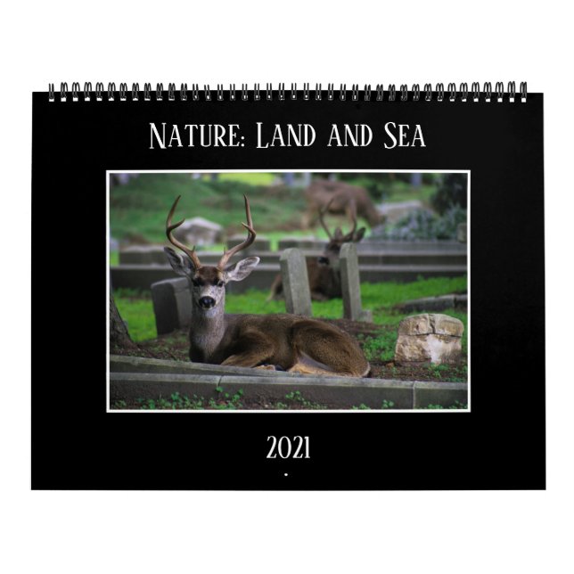 Natur: Land- und Meereskalender 2021 Kalender (Titelbild)