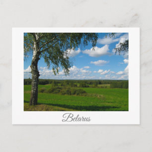 Natur Landschaft Szenerie Birke Belarus Postkarte