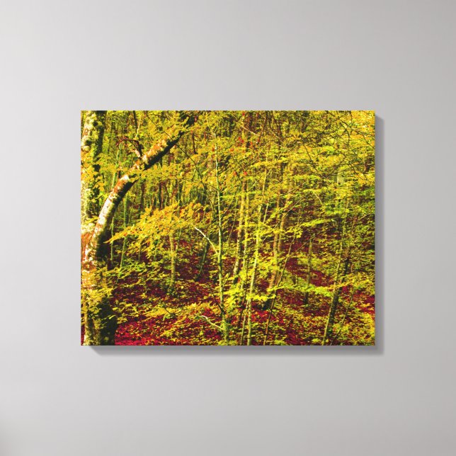 Natur Leinwanddruck (Vorderseite)