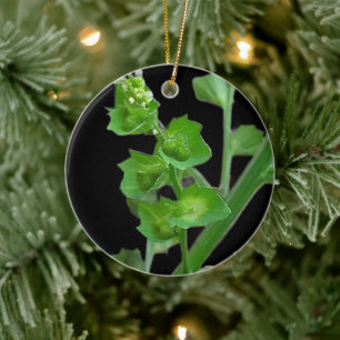 NATUR LIEBT NATUR GESCHENK KERAMIK ORNAMENT