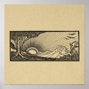 Natur mit flatternden Vögeln und Sonneneinstrahlun Poster