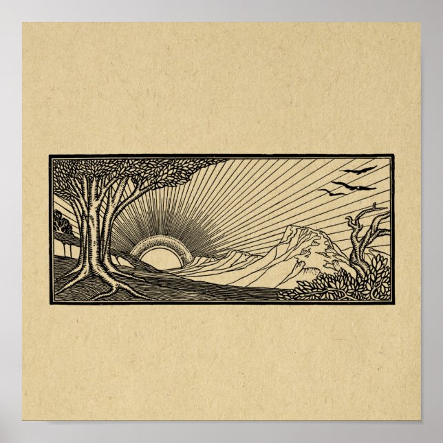 Natur mit flatternden Vögeln und Sonneneinstrahlun Poster (Vorne)