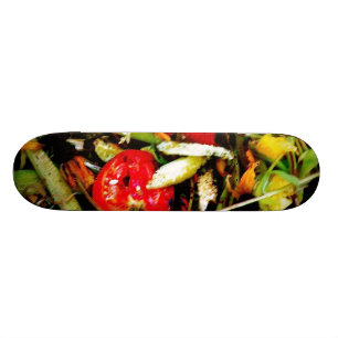 Natur Morte 18 Skateboard