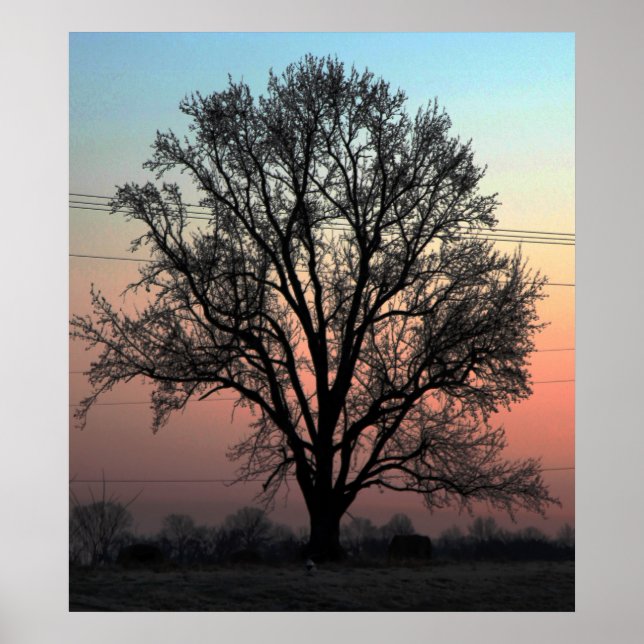 Natur oder Pflege? Poster (Vorne)
