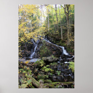 Natur Poster