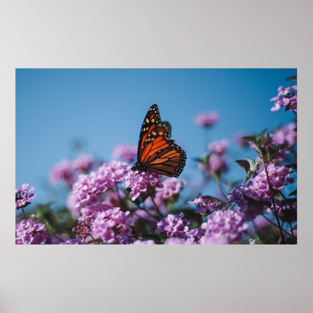 Natur Poster (Vorne)