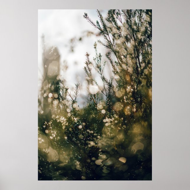 NATUR POSTER (Vorne)