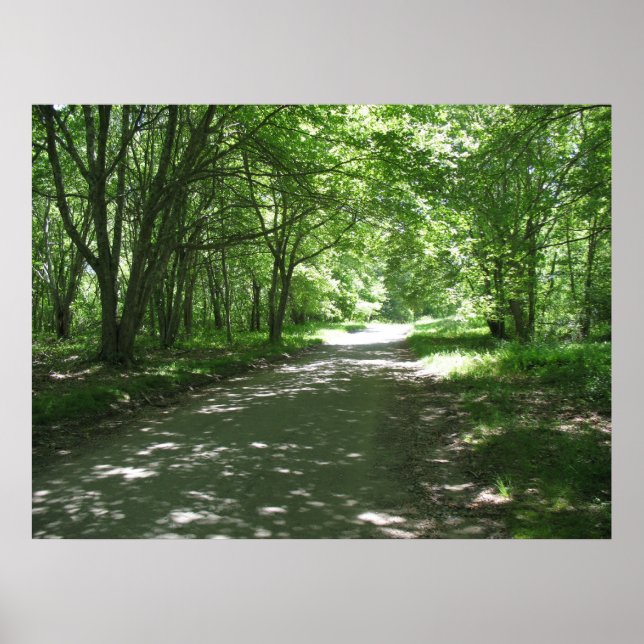 Natur Poster (Vorne)