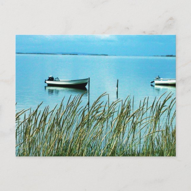 Natur pur auf dem Foto von Samsø Postkarte (Vorderseite)