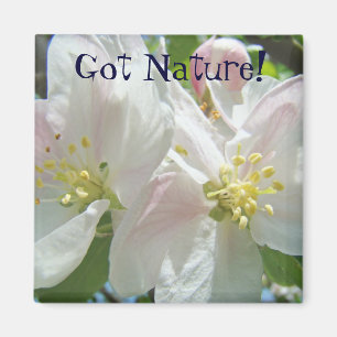 Natur pur! Magnet Rosa Apfelblüten Blumen