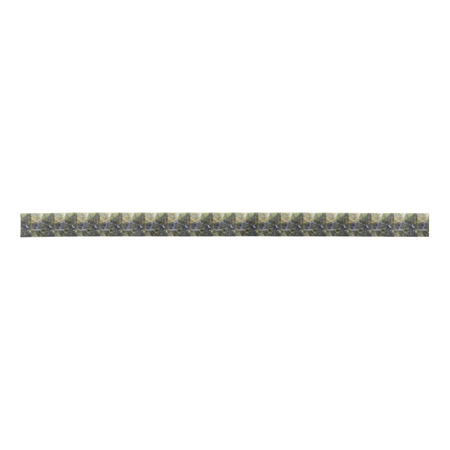 Natur Satinband (Vorderseite)