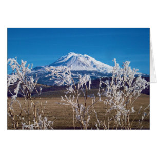 Natur spricht Bucheinband-Bild