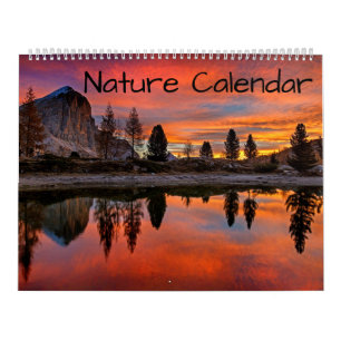 Natur Tier Erde Willkommen Zu Hause Schicksal Schi Kalender